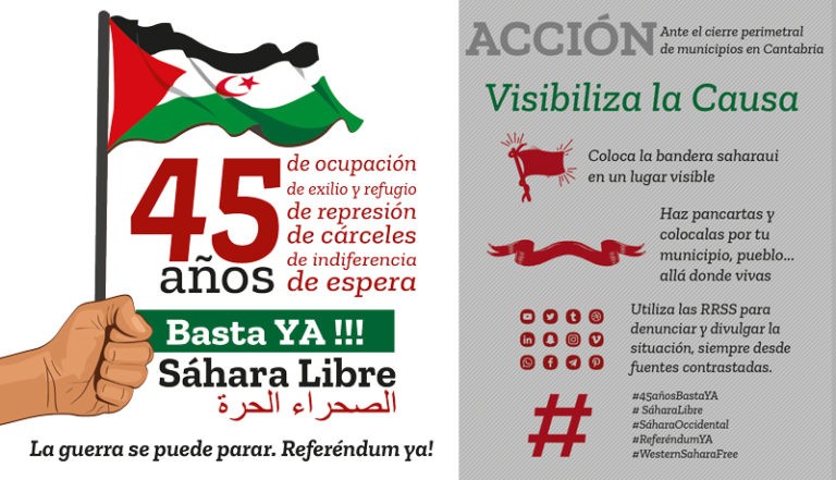 accion alternativa