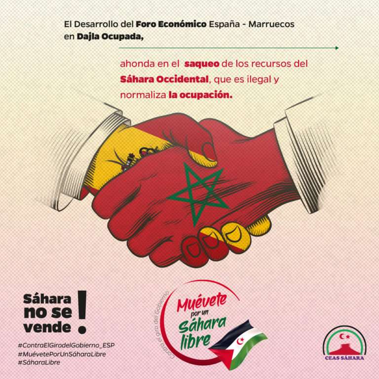 Imagen Capaña Ceas Foro Marruecos