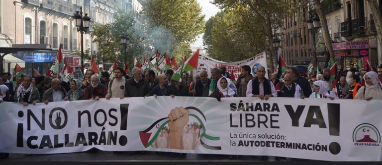 cabecera manifestación Madrid