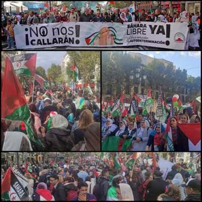 collage con fotos de la manifestación