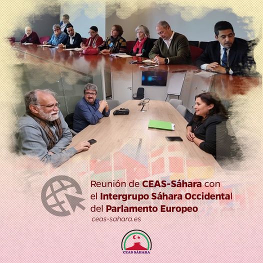 Fotos de los encuentros mantenidos en el Parlamento Europeo