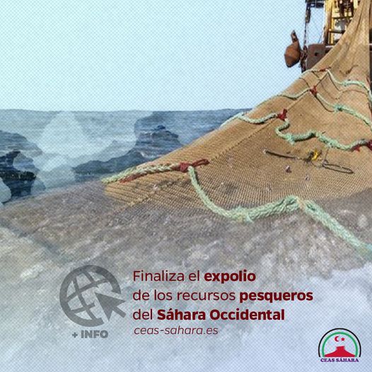 foto ilustrativa del articulo