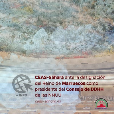 Comunicado CEAS Sahara