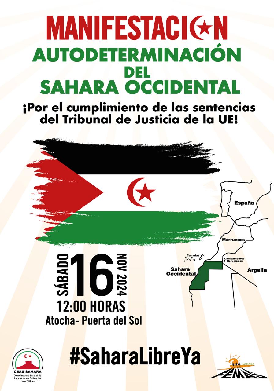 Cartel Manifestación estatal Madrid