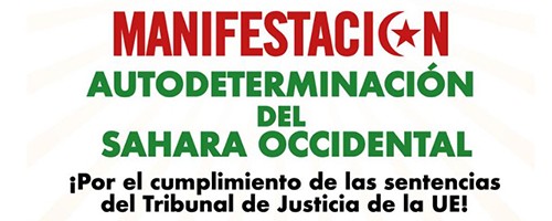 Cartel Manifestación estatal Madrid